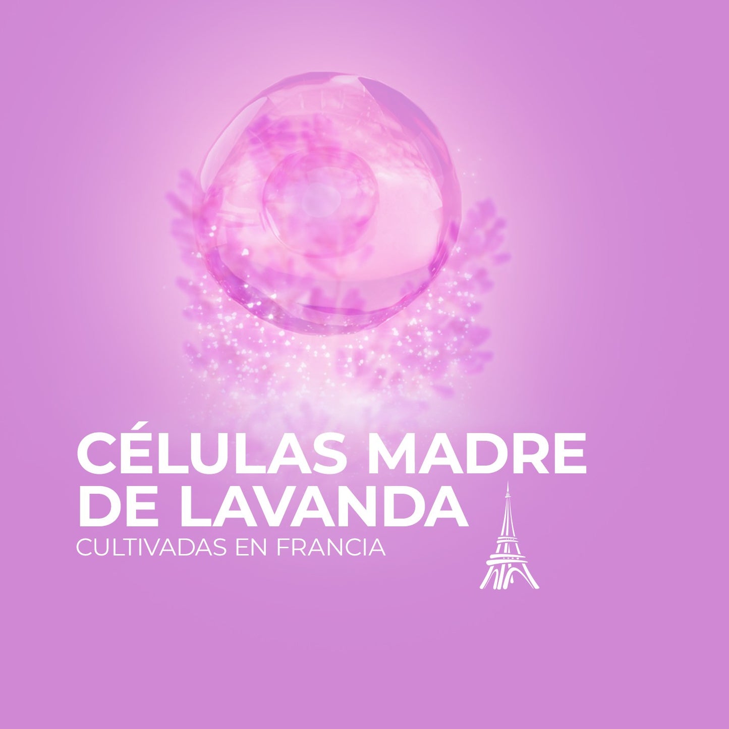 Elixir Suero 2 en 1 Rostro y Manos 30 ML | Rellena arrugas y revitaliza tu piel