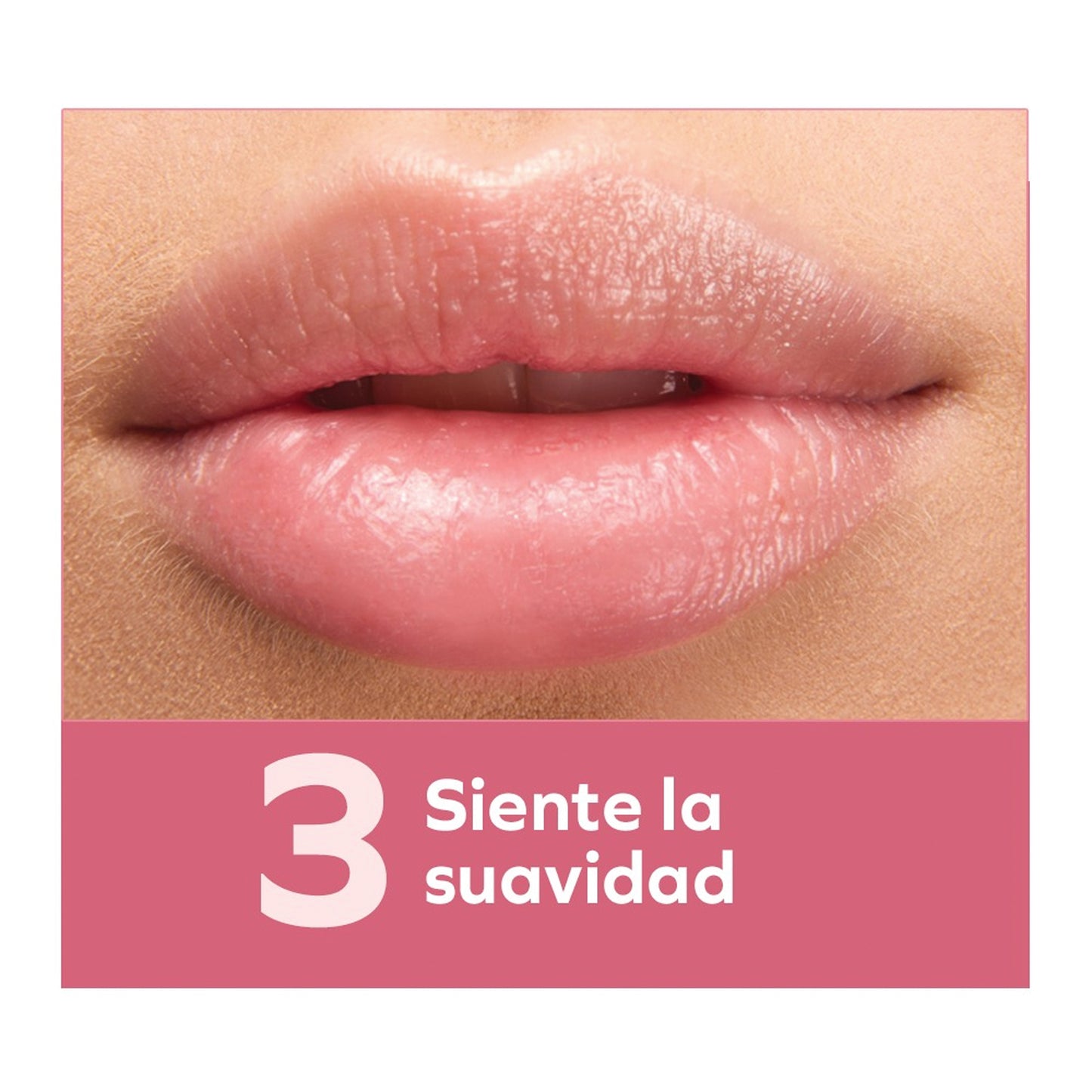 Bálsamo Exfoliante de Labios Rosa Mosqueta | Labios suaves, hidratados y renovados