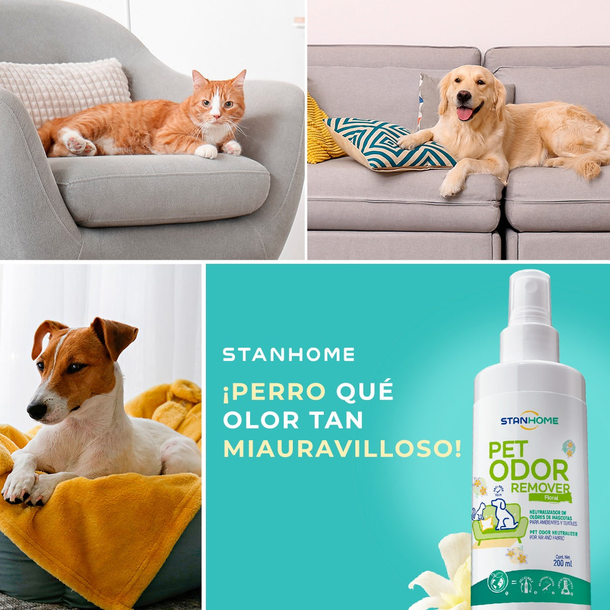 Pet Odor Remover 200 ML| Neutralizador de olores