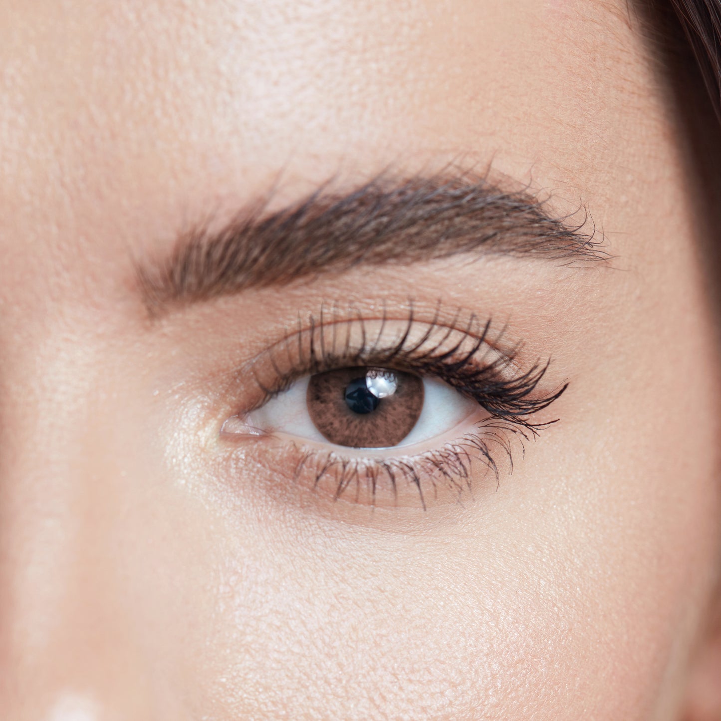 Brow Pomade | Maquillaje para cejas en crema