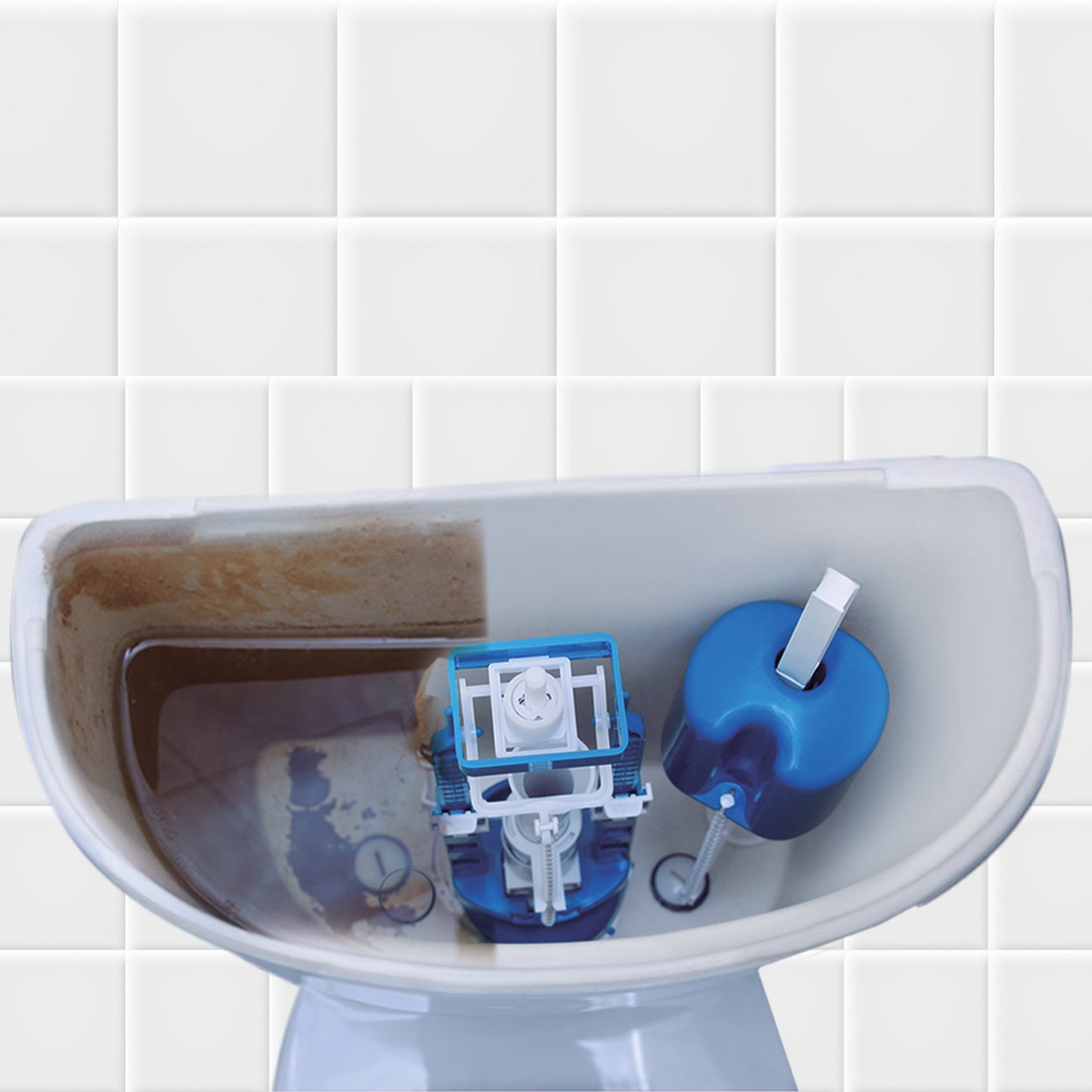WC Tank Cleaner 500 G | Polvo limpiador para tanque de WC