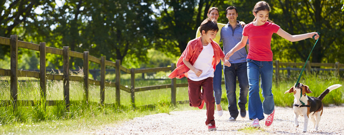 3 tips para mantener el orden cuando tienes hijos