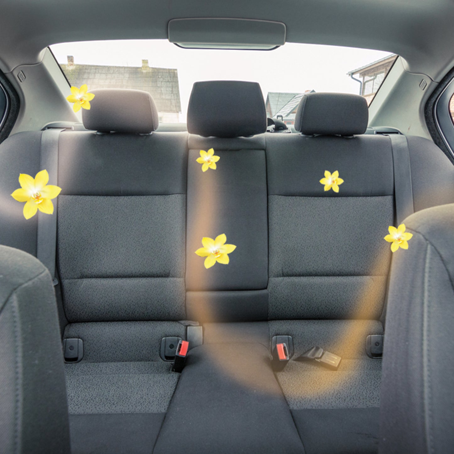 Car Spray 200 ML | Aromatizante de automovil