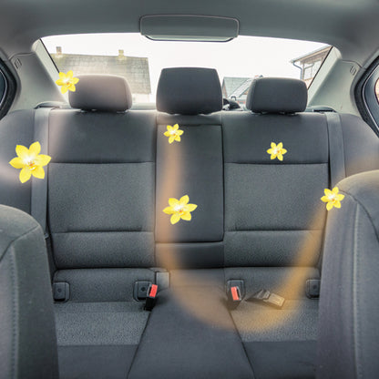 Car Spray 200 ML | Aromatizante de automovil