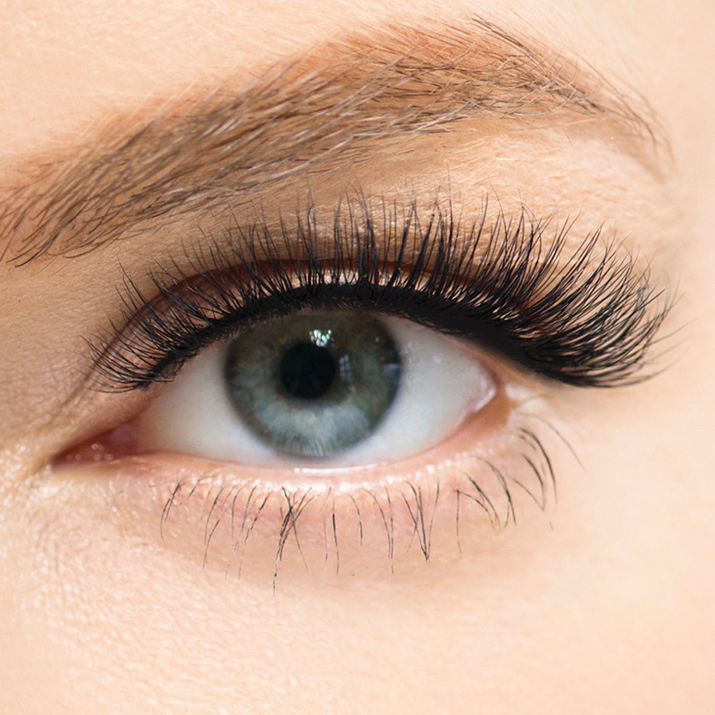 Gel Para Cejas y Pestañas 8G