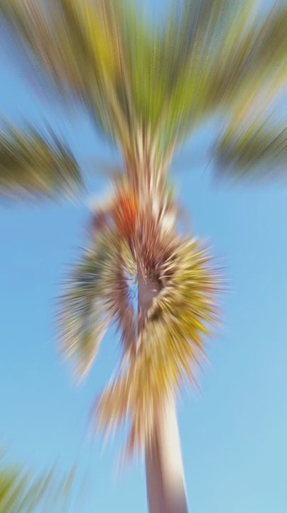 Video usando Body Cream 950 ML | Crema hidratante corporal